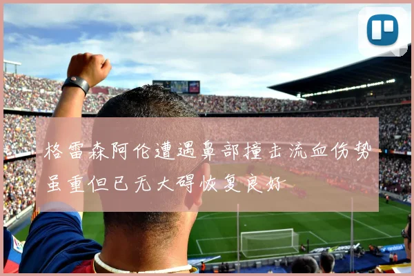 格雷森阿伦遭遇鼻部撞击流血伤势虽重但已无大碍恢复良好